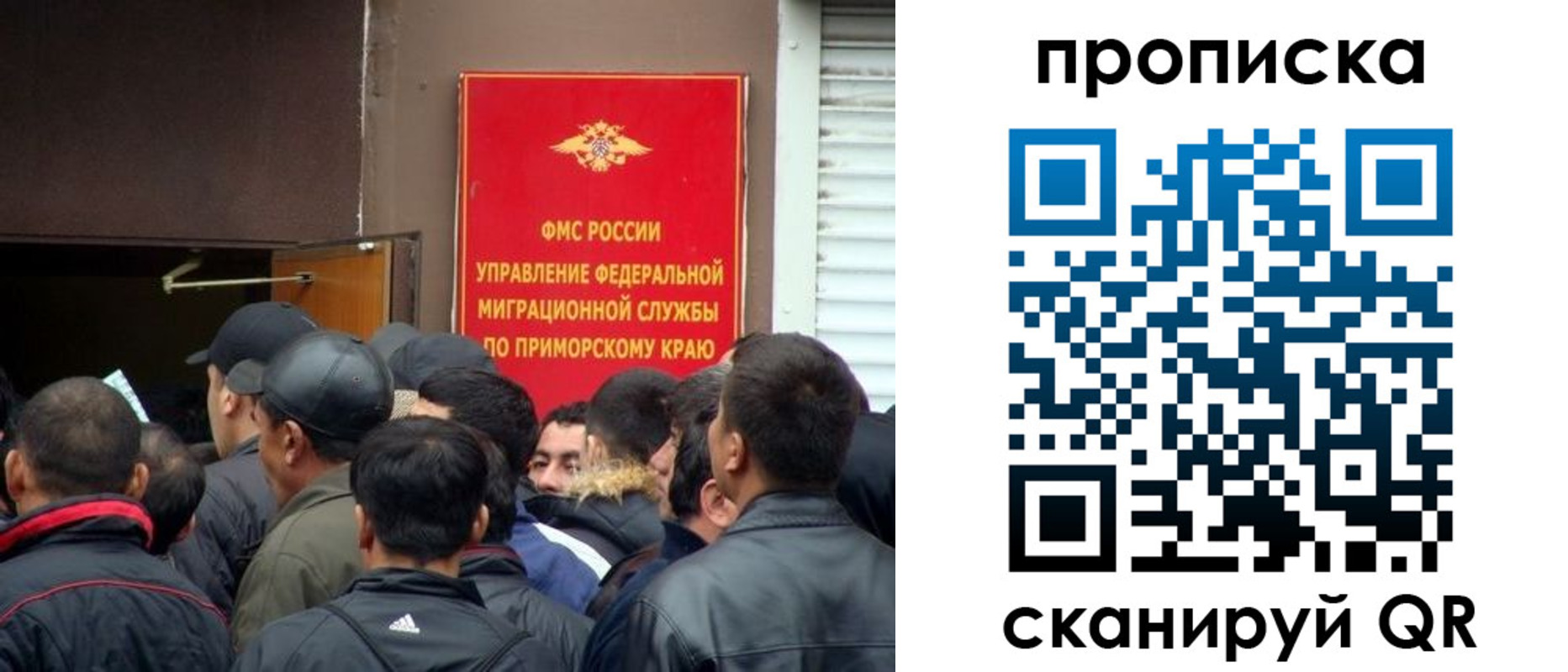 временная регистрация гарантия в Полярных Зорях